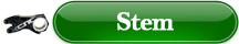 Stem